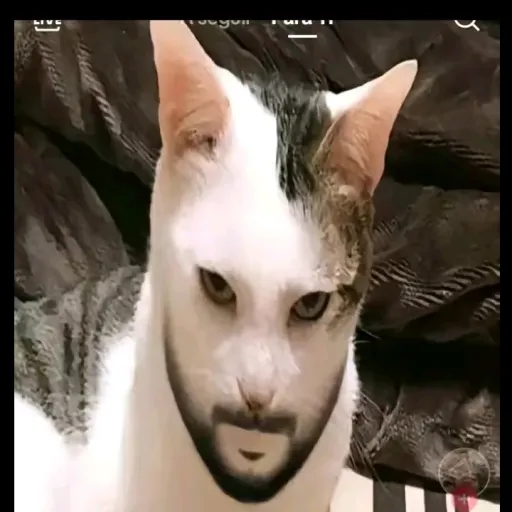 creator max_330's avatar