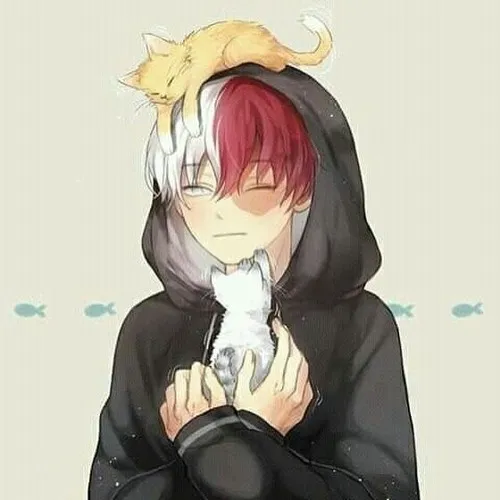 creator shoto x me xbakugo's avatar