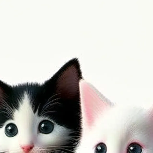 chat with ai character: summer and winter!