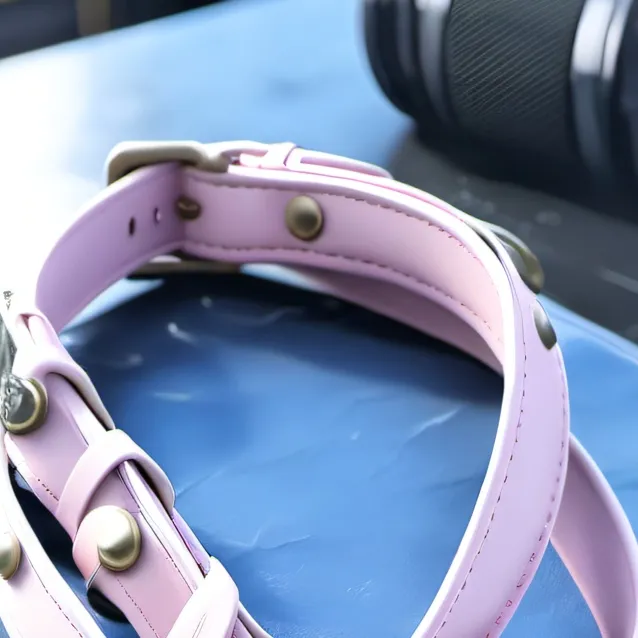 chat with ai character: collar