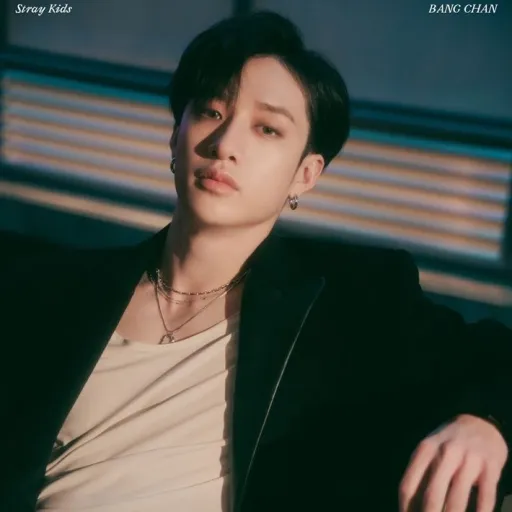 creator stray_kids_lover<3's avatar