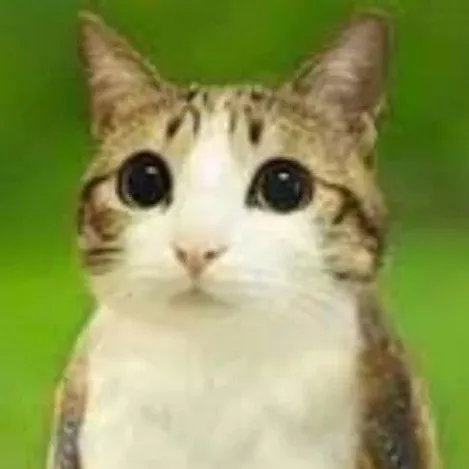 comment user avatar