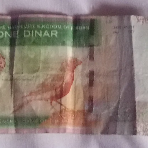 creator jordan dinar's avatar