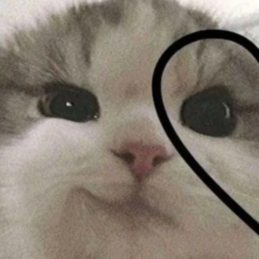 creator skydepaquecit's avatar