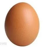 creator THE "EGG"'s avatar