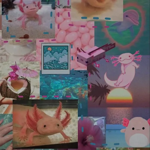 creator StarlightX๐'s avatar