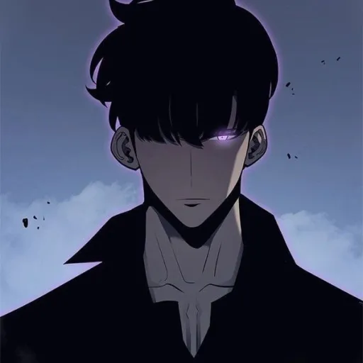 creator 《Sung jin-woo》's avatar
