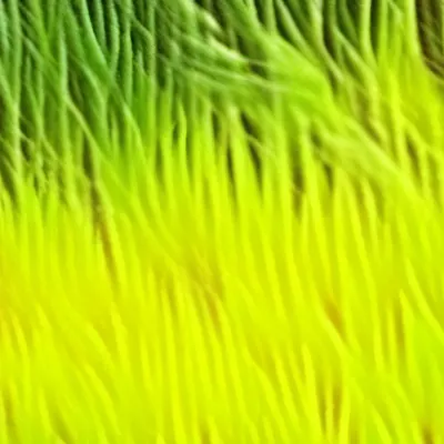 chat with ai character: Grass