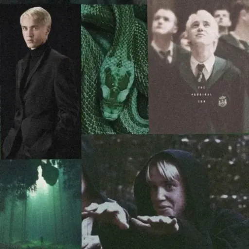 creator DracoMalfoywifey🖤💚's avatar