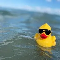 creator Rubber duck.'s avatar