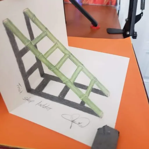 creator optical illusion's avatar
