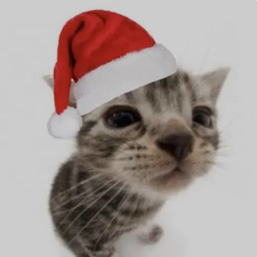 creator merry Christmas❄️'s avatar
