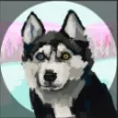 creator catalinacatlover's avatar