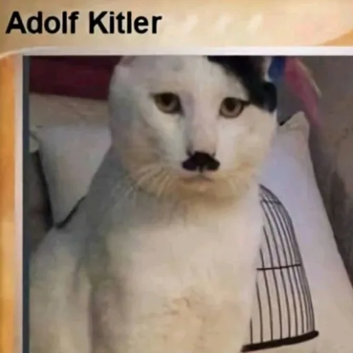 creator boiobob's avatar
