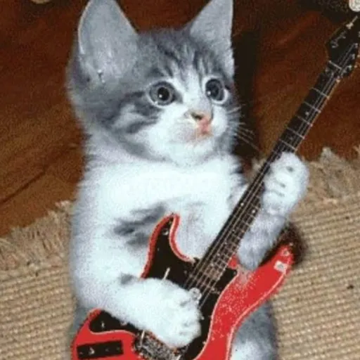 creator guitarCat's avatar