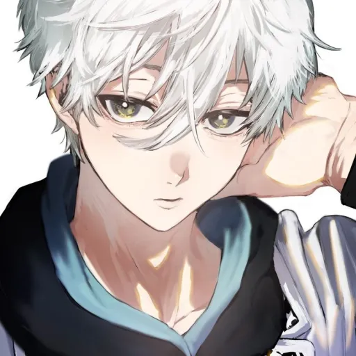 creator Nagi_seishiro ⚽'s avatar