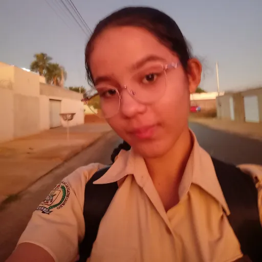 creator AmandaMorais's avatar