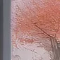 chat with ai character: Kim Jong un