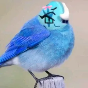 creator Coal_is_slay_queen's avatar