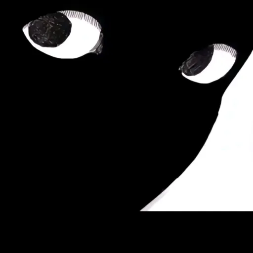 creator ~N1KK1~'s avatar