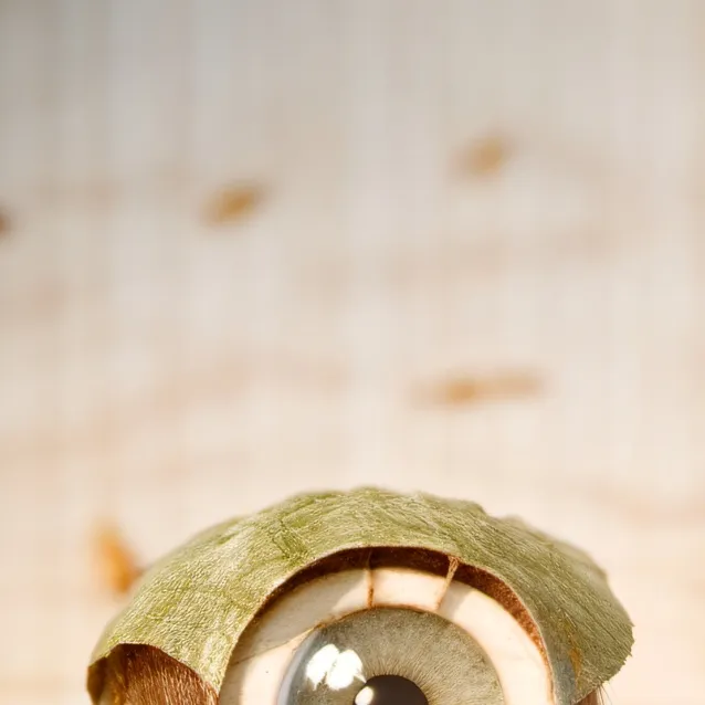 chat with ai character: object legends 