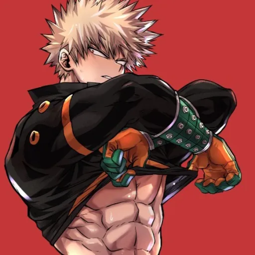 creator 💥BAKUGOHUGESTSINP💥's avatar