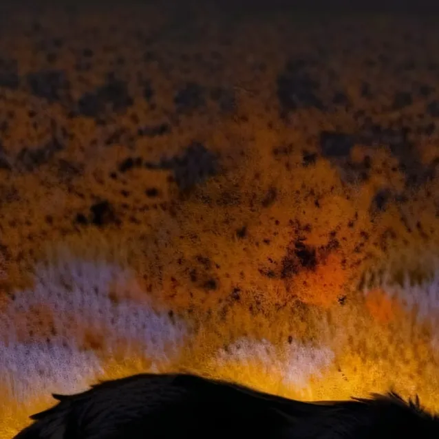 chat with ai character: Furry infection