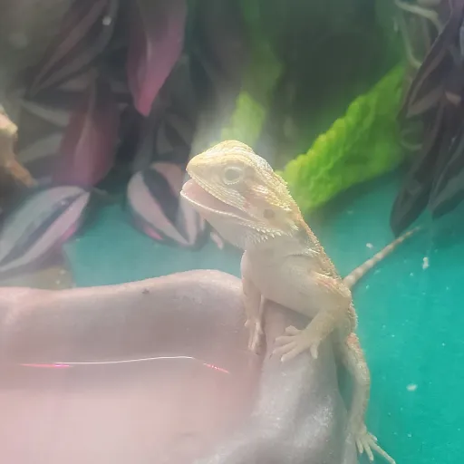 creator LUKEEEEEEEEE's avatar