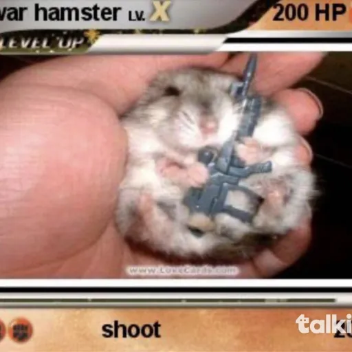creator War hamster's avatar