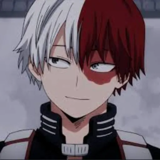 creator Real_ShotoTodoroki's avatar