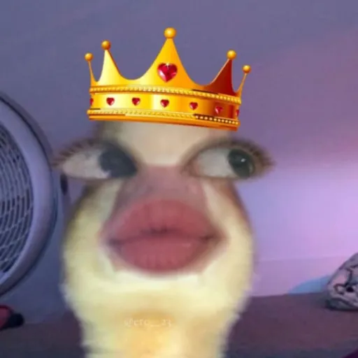 creator winkᥫ᭡'s avatar