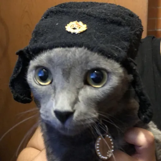 creator GodspeedHellcat's avatar