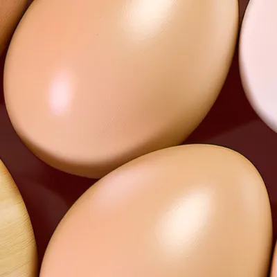 chat with ai character: Egg army