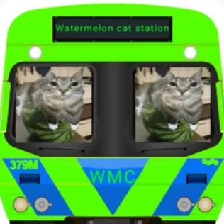 chat with ai character: Watermecatcomeng57