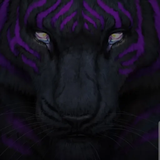 creator ♡Amila♡'s avatar