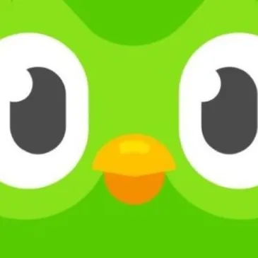 creator ( doulingo )'s avatar