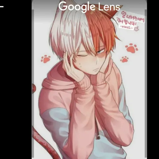 creator shoto_todoroki7's avatar