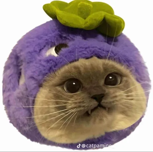 creator moonlightsstarligh's avatar