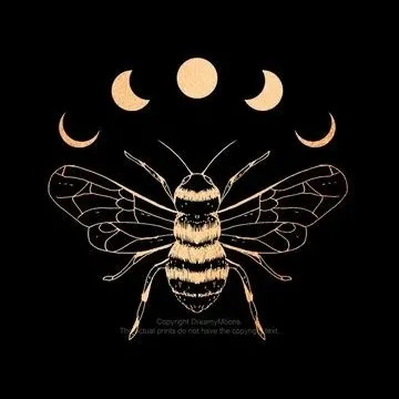 creator K.T.rine's avatar