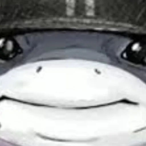 creator nah its luck trust's avatar