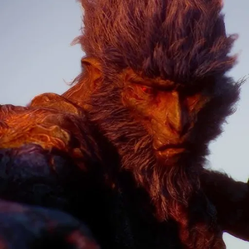 creator The Stone Monkey's avatar