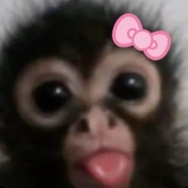creator SILLY MONKEY <33's avatar
