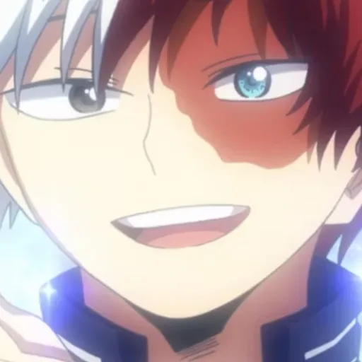 creator Shoto anime loverr's avatar
