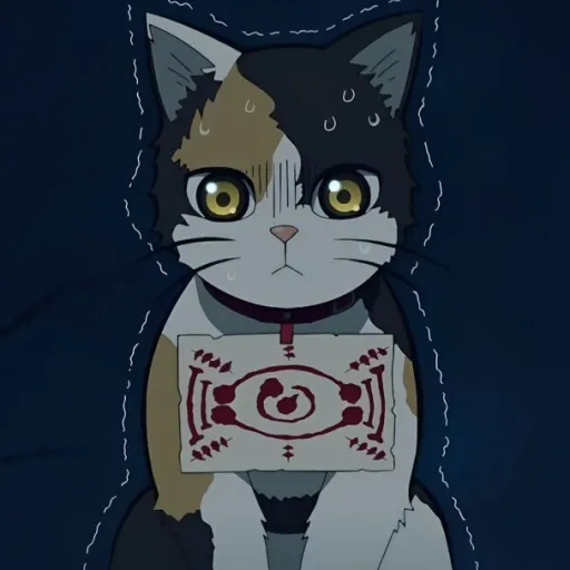 creator )°•𝙲𝚑𝚊𝚌𝚑𝚊𝚖𝚊𝚛𝚞•°('s avatar