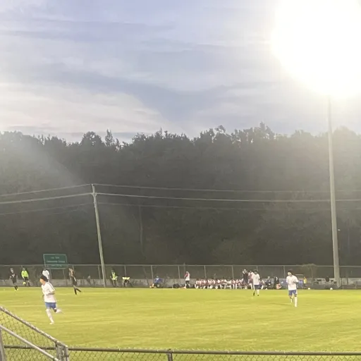 creator Aria☁️'s avatar