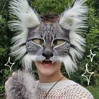 creator 🌿Therain🌿🍂🪵's avatar