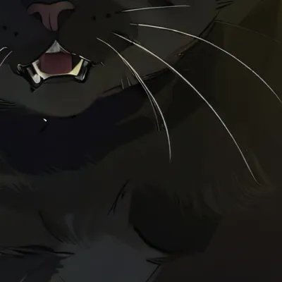 chat with ai character: Angry cat