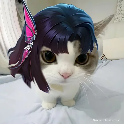 creator **𝒋𝒂𝒚𝒄𝒆 **'s avatar