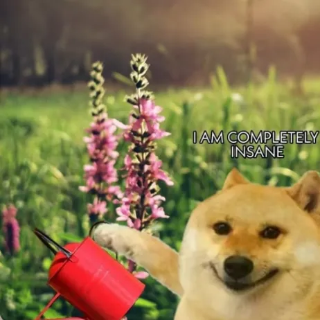 creator Boomer 2012's avatar