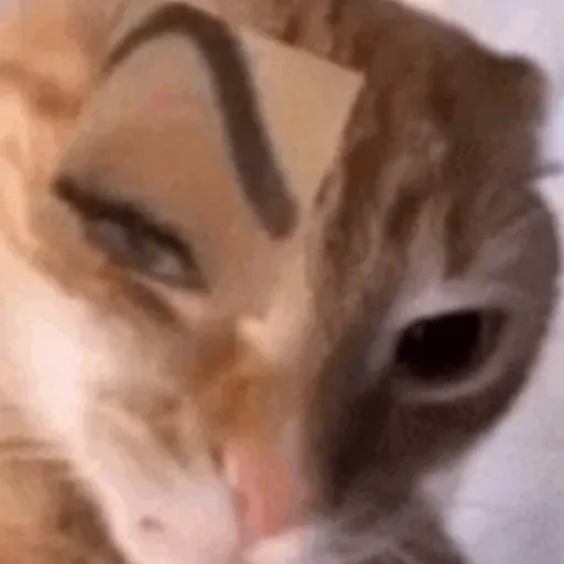 creator series-cat's avatar